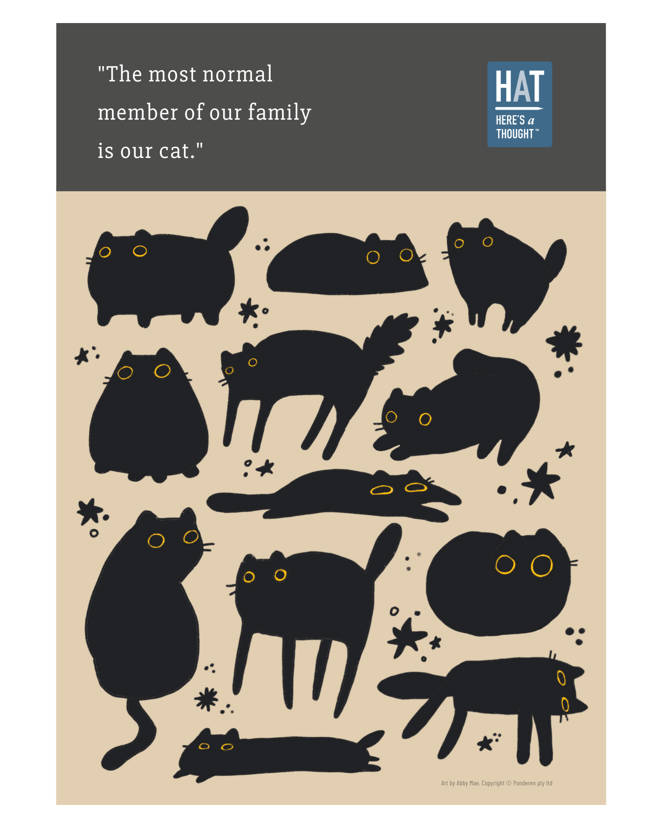 Our cat is the most normal